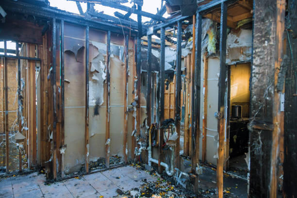 Professional Soot Cleanup technician working in Woodstock, MD